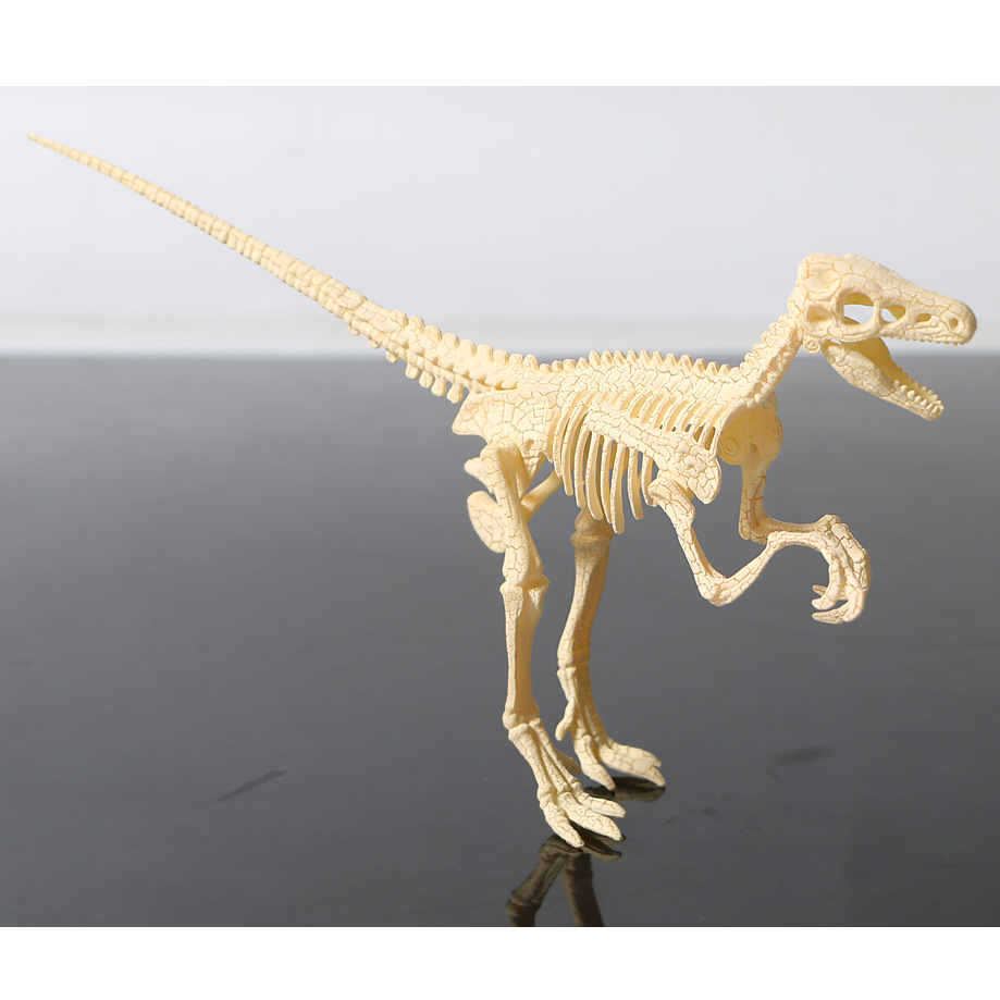 5*14cm【产品包装】彩盒【产品名称】hs-168-3 拼装爆裂迅猛龙骨架