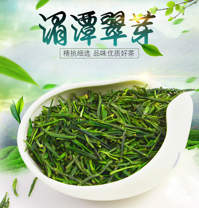 供应 贵州绿茶湄潭翠芽珍品雀舌特级高山雨雾茶明前优质茶叶杀青