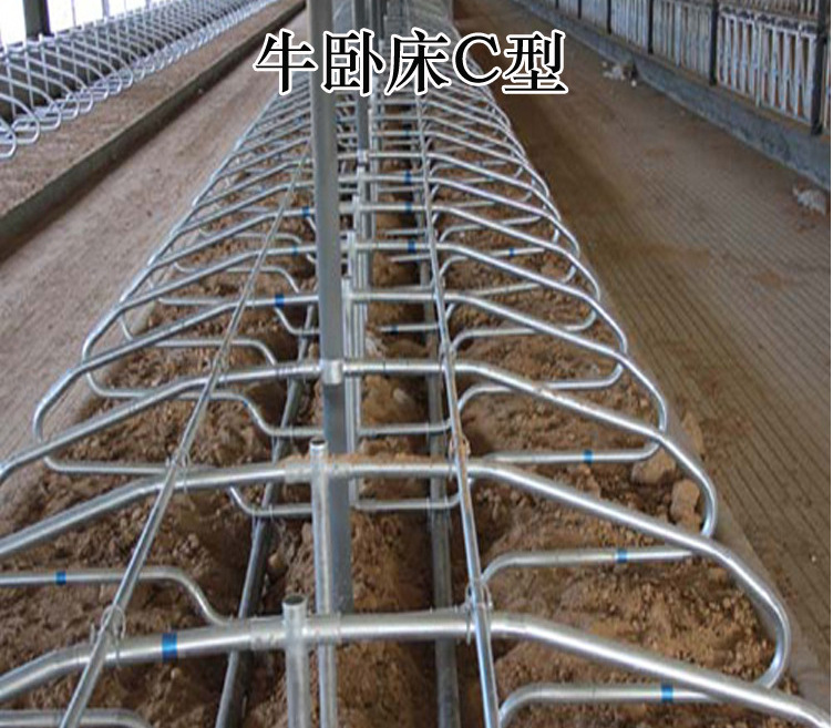 牛卧栏 奶牛定位栏永富金通养殖场设备机械弹簧单体双体牛卧床