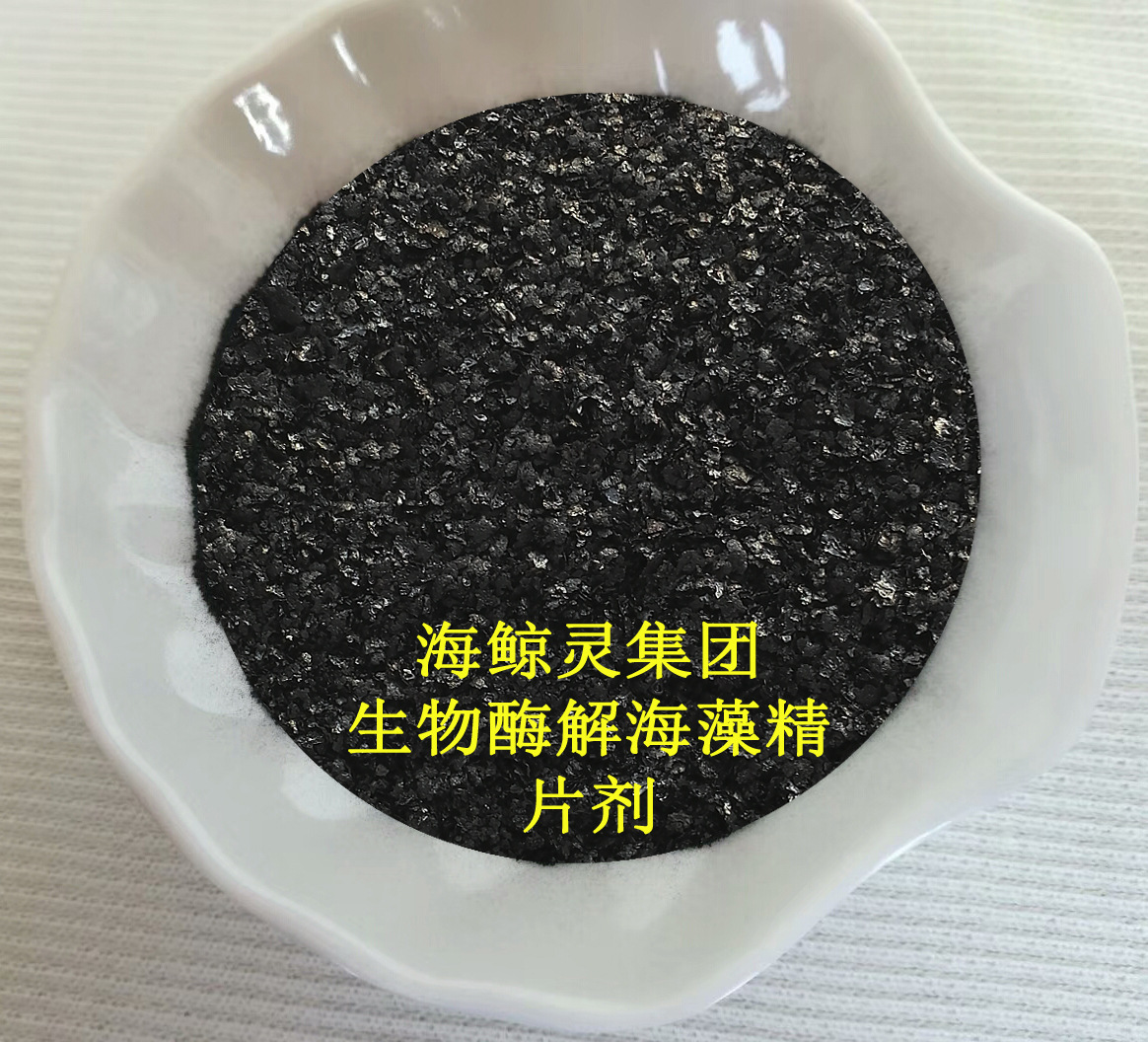 海鲸灵厂家直供全水溶酶解海藻精 现货25%海藻酸片状生物有机原料