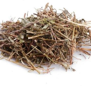 叶下珠 珠仔草 龙珠草 碧凉草 中药材批发 珍珠草 1000g克