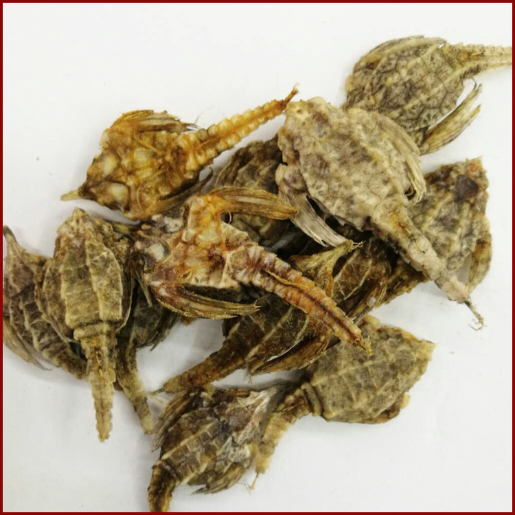 现货供应动物中药材海麻雀 清水海燕 泡酒料 干货