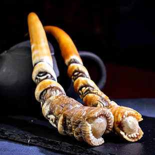 驯养野生黄大山羊角diy刀把柄原料角尖雕刻龙吐珠镇宅摆件中药材