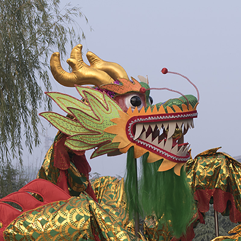 舞龙道具舞龙舞狮道具9九节龙龙灯舞龙布龙龙头竞龙18米