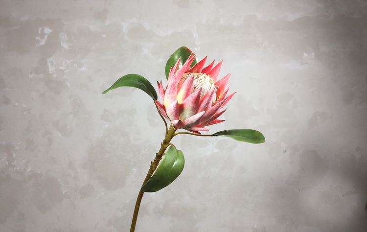 绿色仿真帝王花 仿真假花批发北欧简约家居客厅装饰花批发热带花