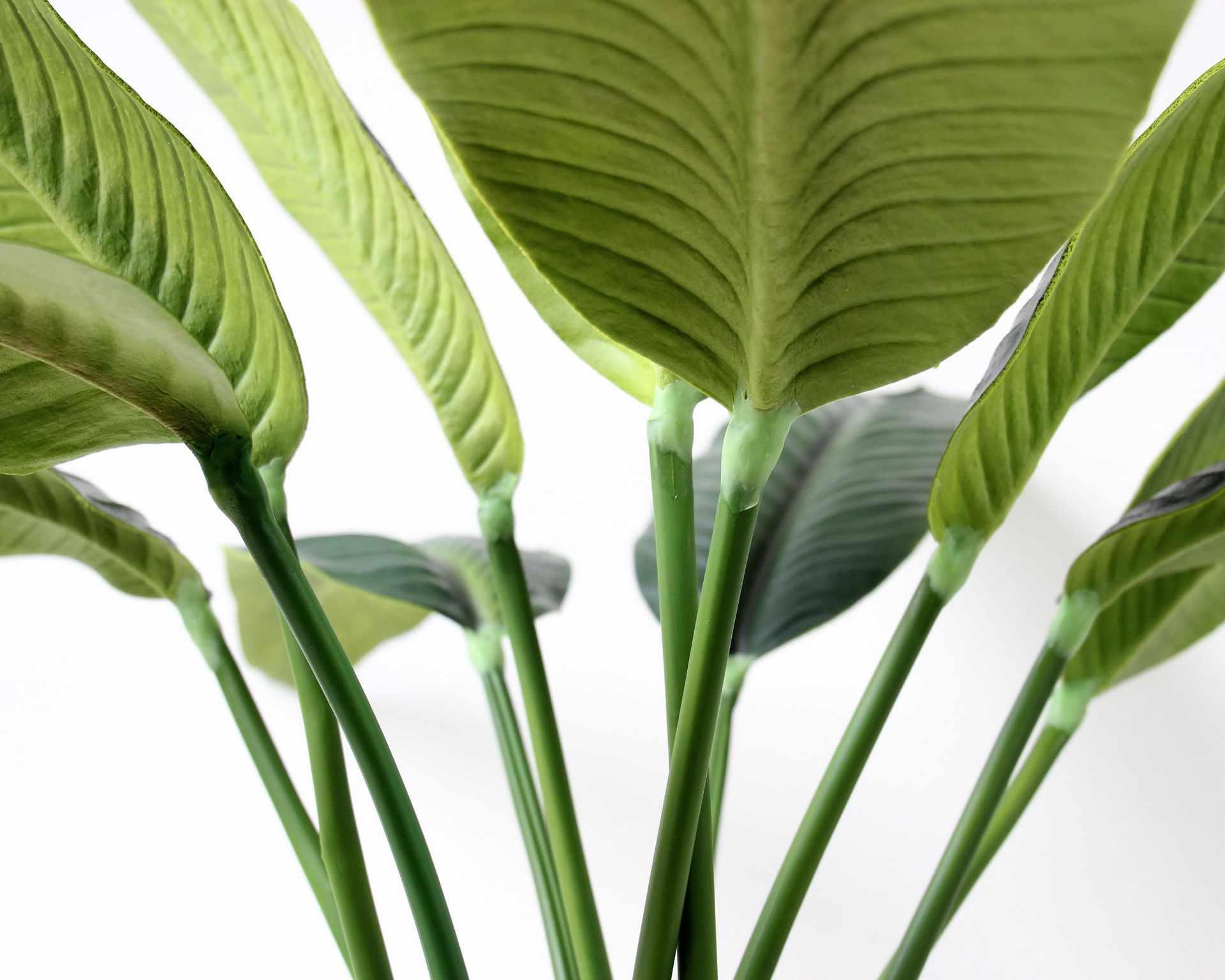 片尺寸:长88cm品名:pu肉感特大天堂鸟叶所示价格均为不含运费不含税