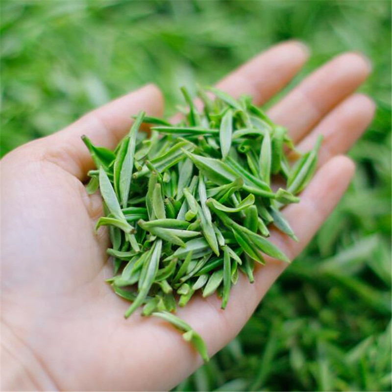 茶农新茶毛峰高山茶绿茶毛峰茶叶春茶叶礼盒500g散装礼盒装一件代