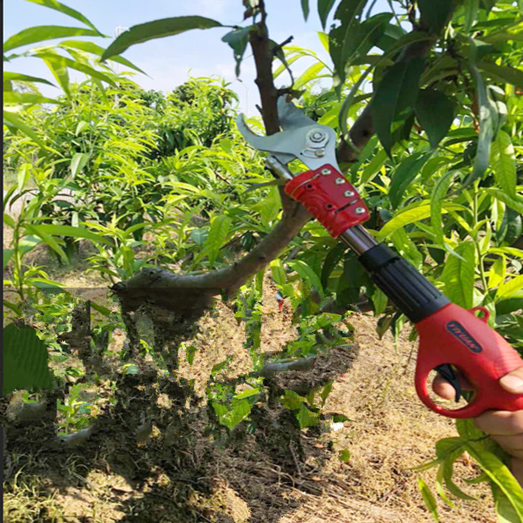 手持无线电动果树剪枝摘果机 3公分锂电池电动园林果树剪枝机
