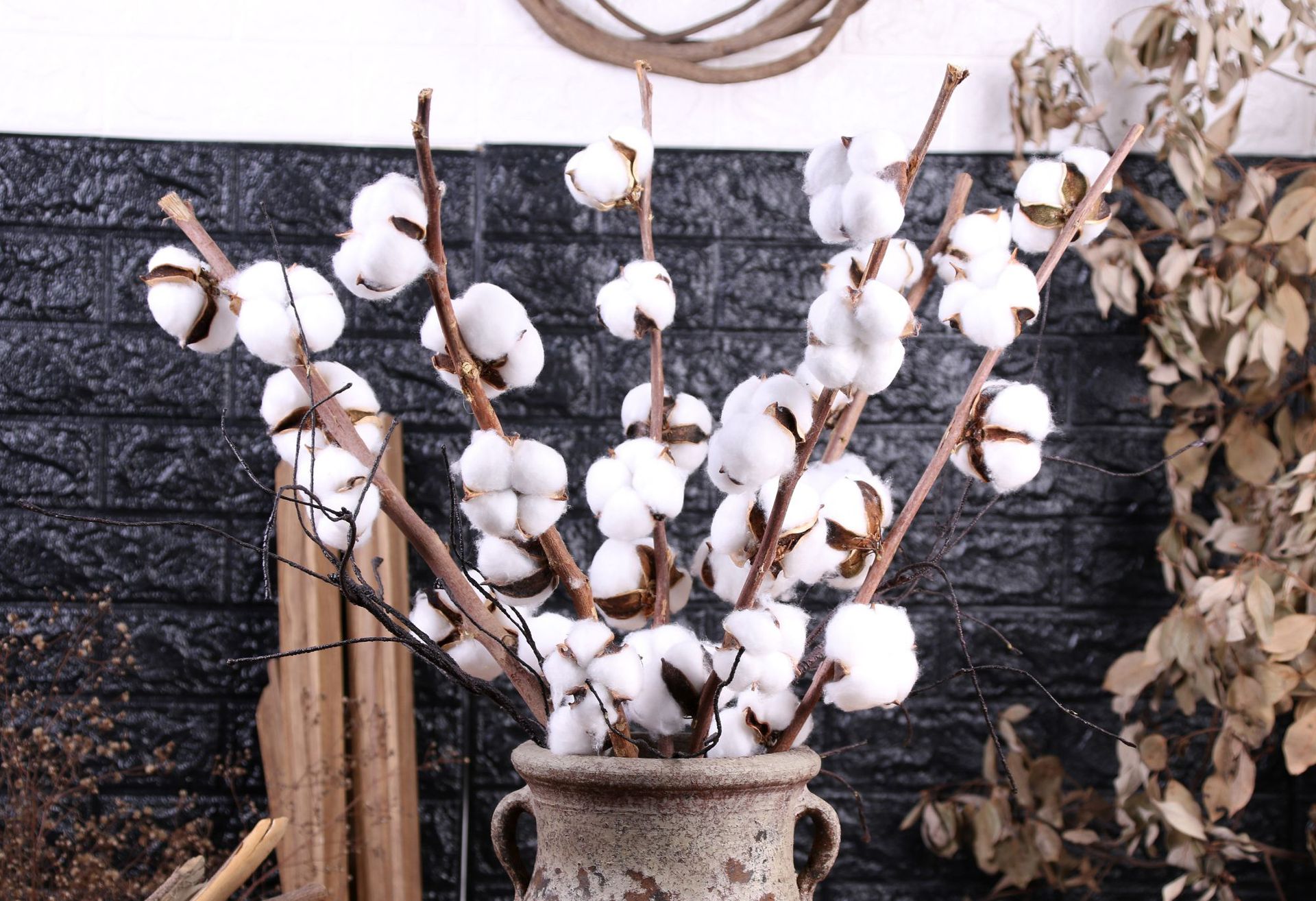 many cotton dry cotton bunches cotton eternal cott