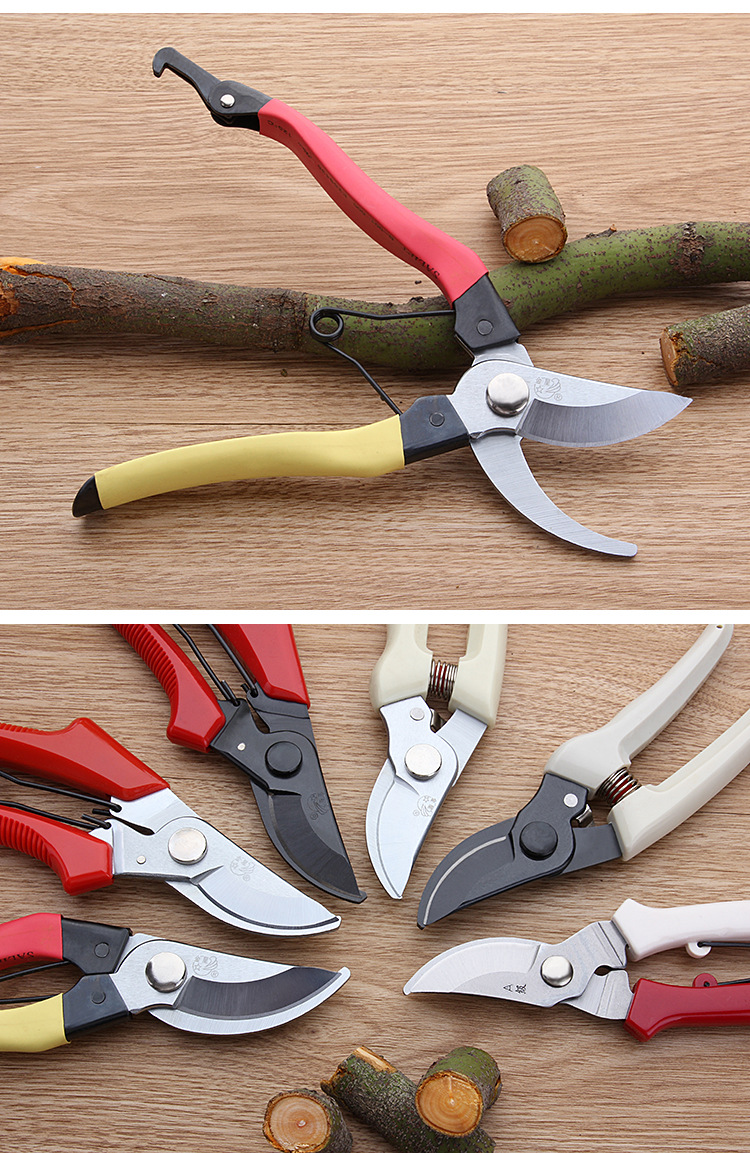 园林园艺工具修剪树枝剪 盘裁粗枝果树剪省力植物修花剪刀槟榔剪