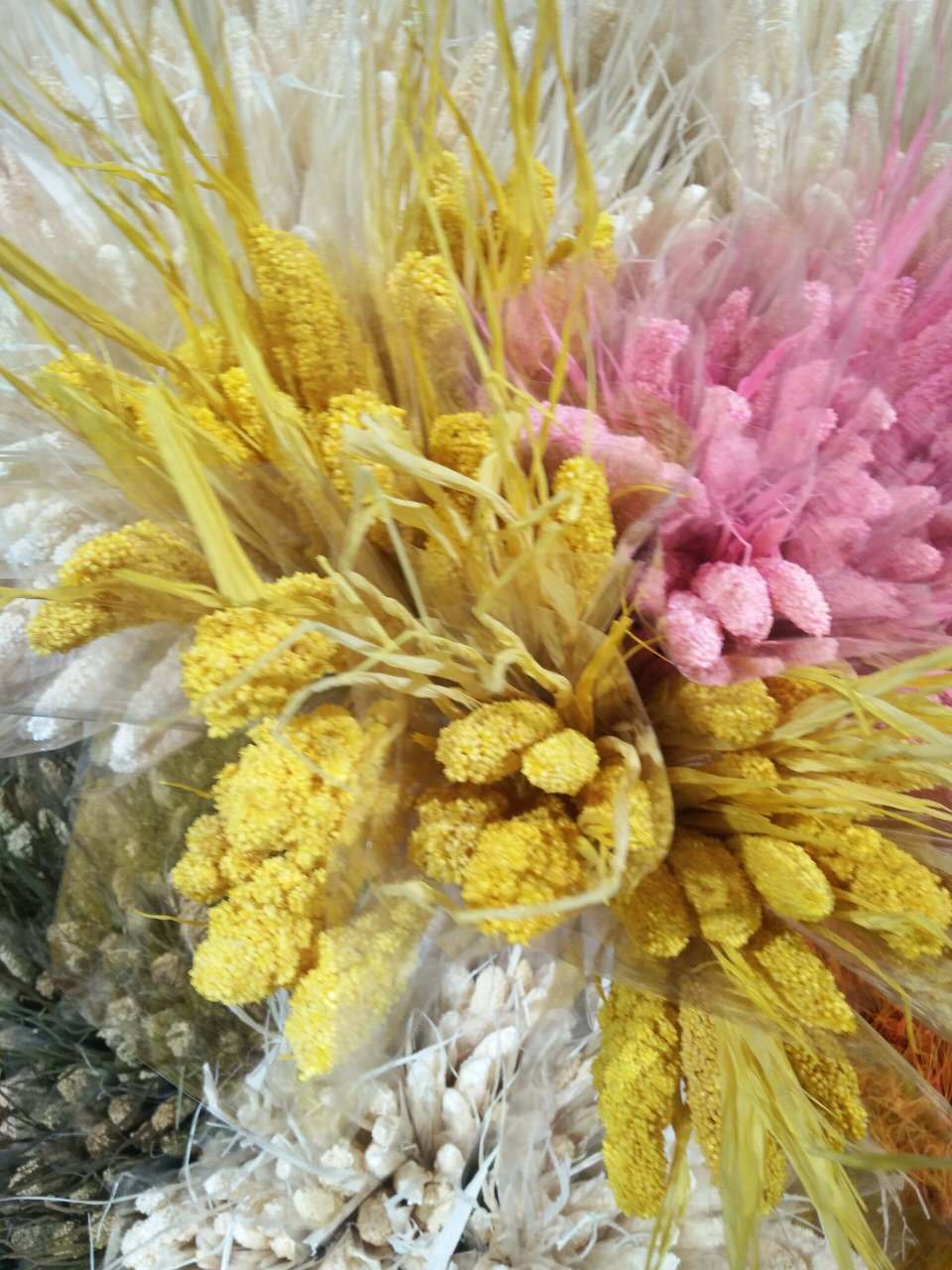 永生干花批发 天然小米穗 制作家庭插花 干花花束 花篮 艺术花艺