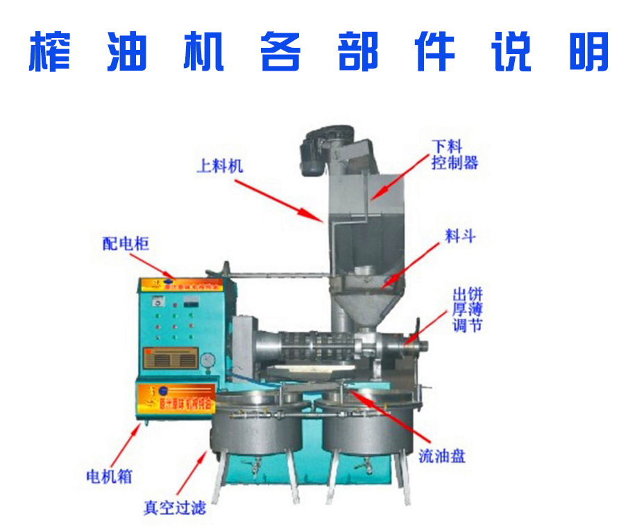 新型花生榨油机 多功能条排榨油机 全自动花生菜籽螺旋榨油机