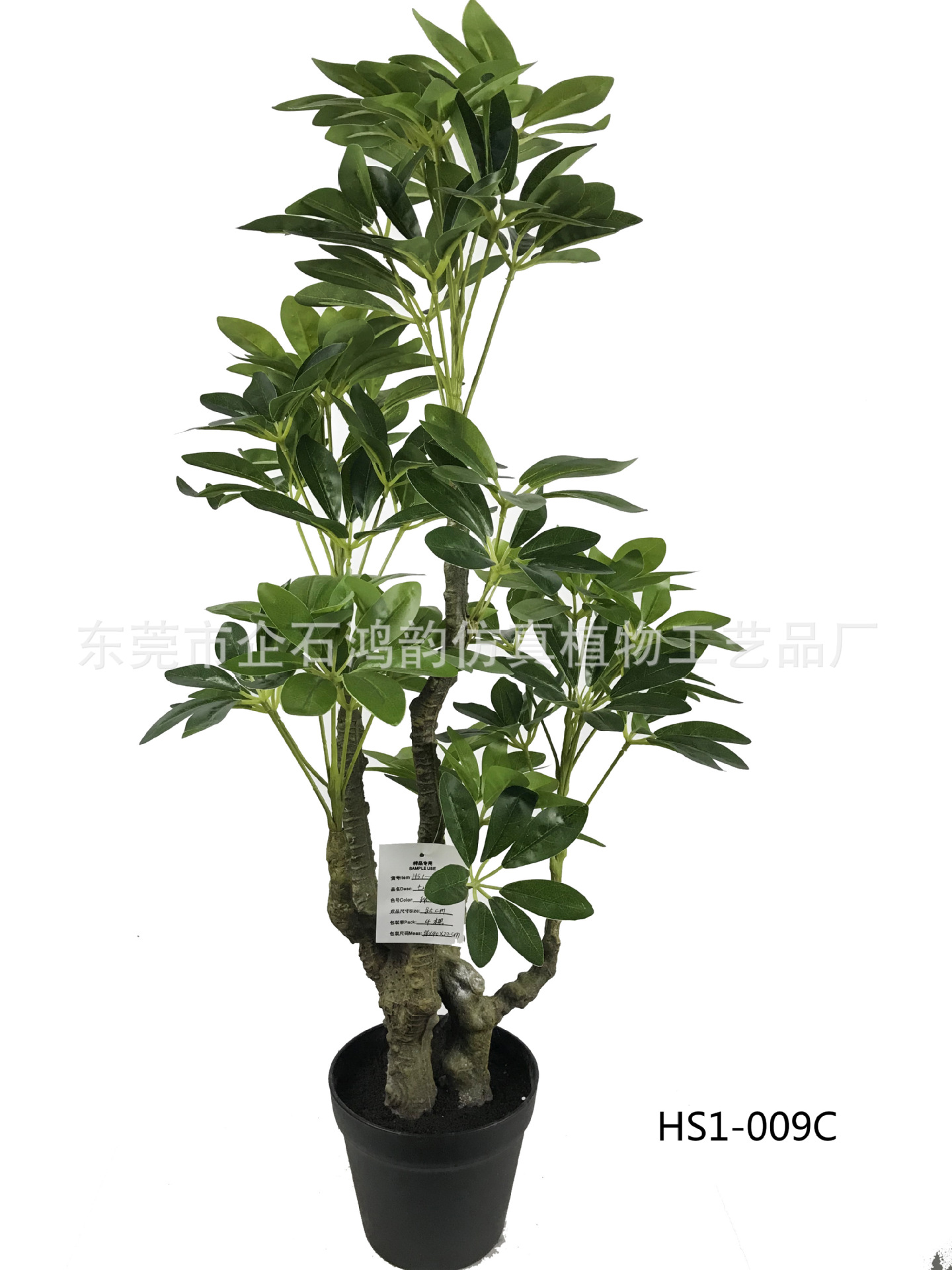 七星叶树盆栽 七星枝叶花枝 室内外办公室商场绿化盆栽批发