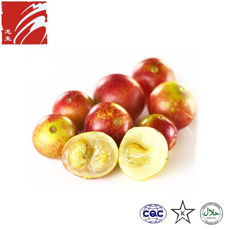 卡姆果粉 水溶卡姆果汁粉 厂家现货 量大联系 1kg起订