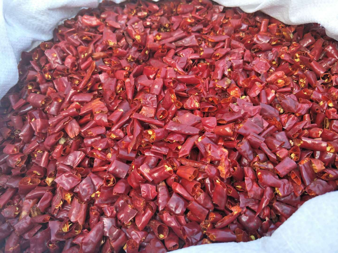 现货批发干辣椒段川菜火锅底料用干辣椒段散装干辣椒家用调味料