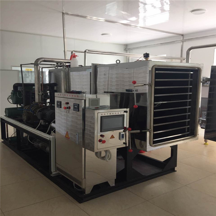 草莓真空冷冻干燥机果蔬冷冻干燥机小型真空冻干机
