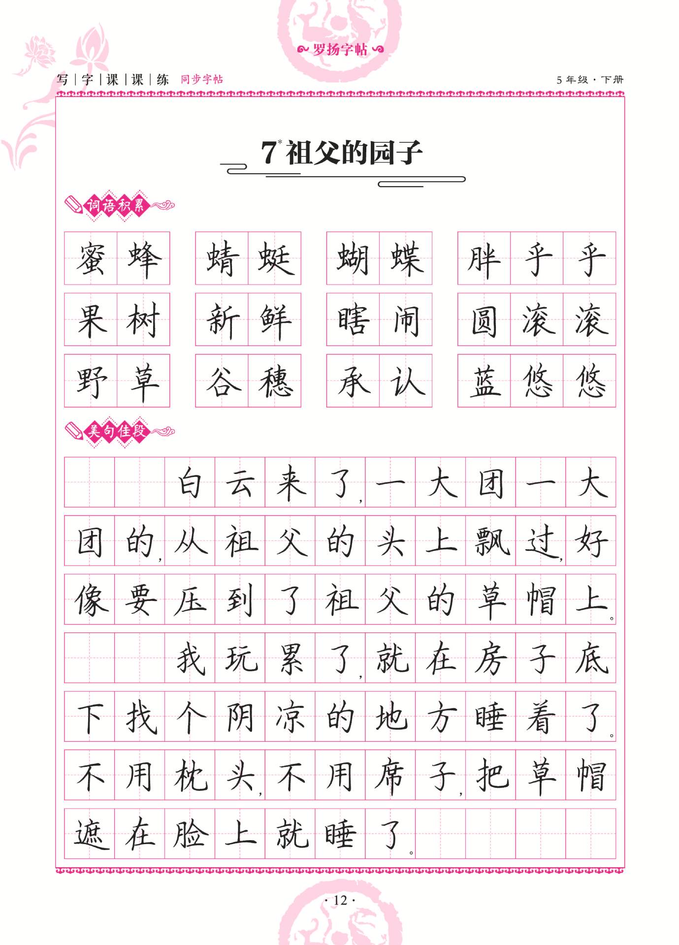 正版 一笔好字 写字课课练同步字帖 5年级下册