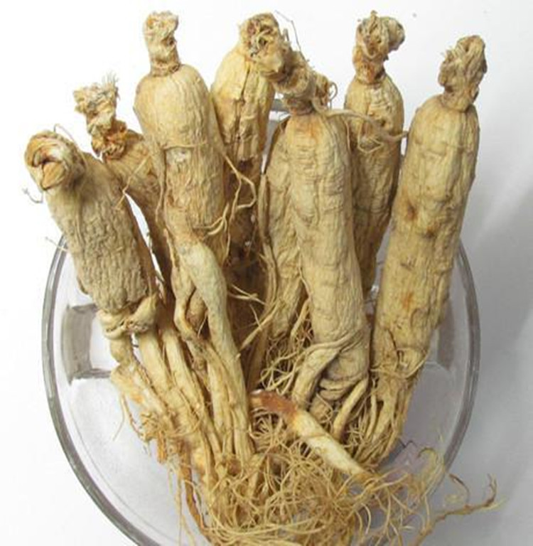 中药材批发大人参 野生东北老参优质6年人参天然滋补一公斤包邮