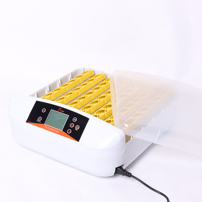 hhd一键照蛋全自动家用小型孵化机 鸽子鹌鹑孵化器 小鸡孵化箱