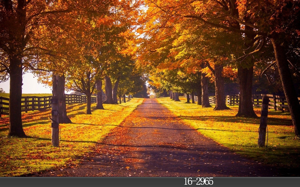 订制yy主播背景布抖音网红直播间男女主播背景3d主播背景布快手