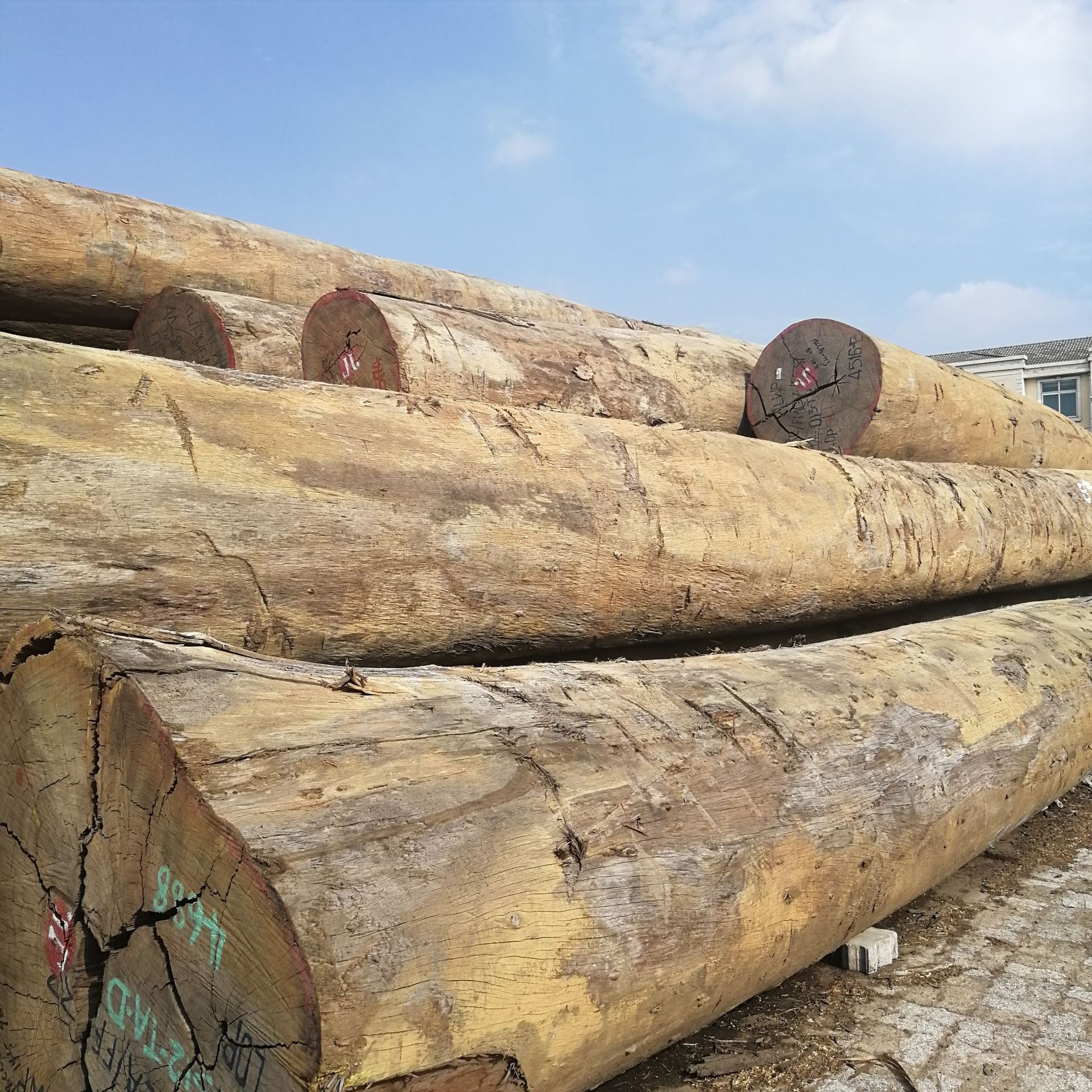 红铁木大板现货 非洲红铁木原木 建筑木材大径加工