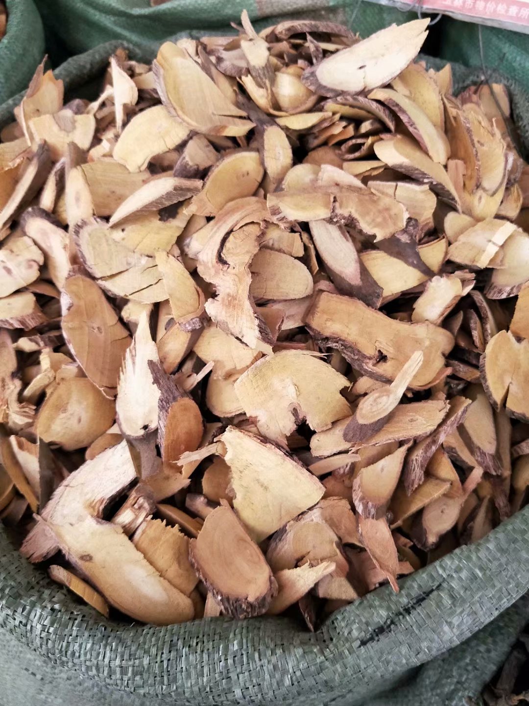 供应大叶铁包金 乌龙根