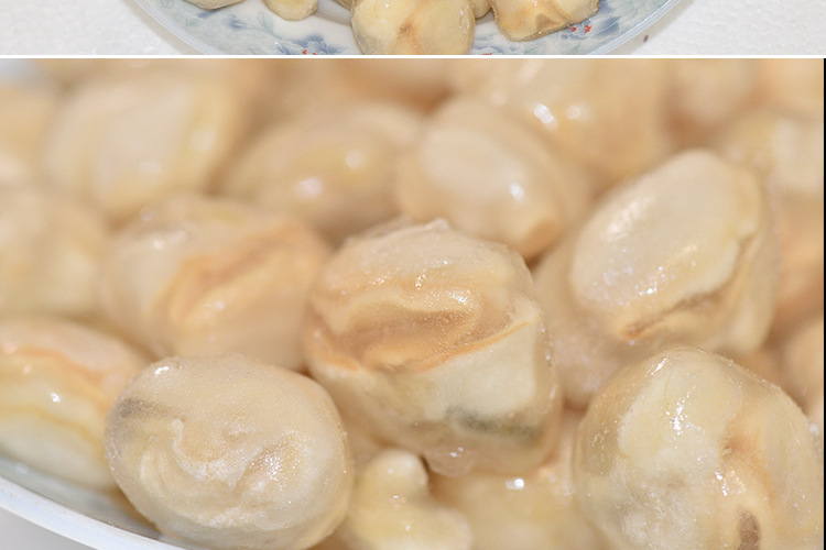 冷冻黄螺肉 速冻玉螺肉 自助涮烤海螺肉餐饮生鲜速冻食材批发