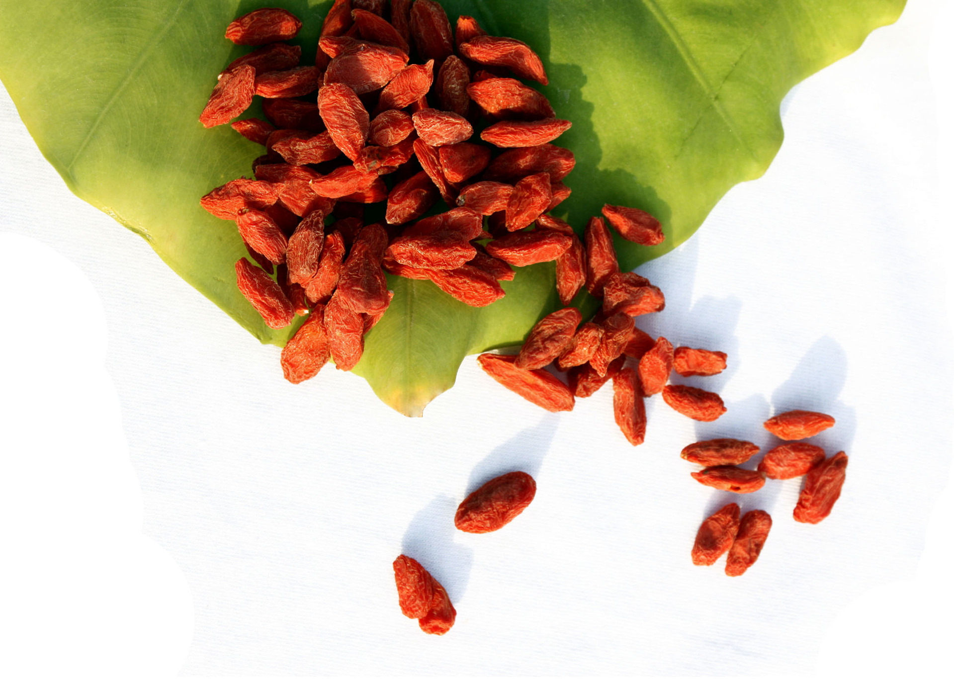 河北枸杞特级野生免洗枸杞子500g袋装精选厂家直销中药材批发