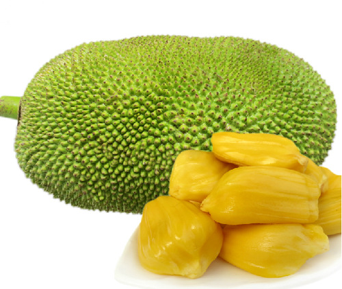 【产品规格】菠萝蜜果粉,菠萝蜜提取物10:1,20:1,30:1,可定制.