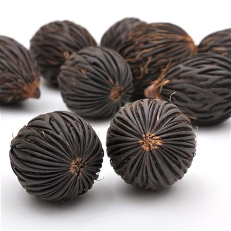 散装狐尾椰子种 千丝菩提原籽 千丝果狐狸椰子 二枝棕 狐尾棕批发
