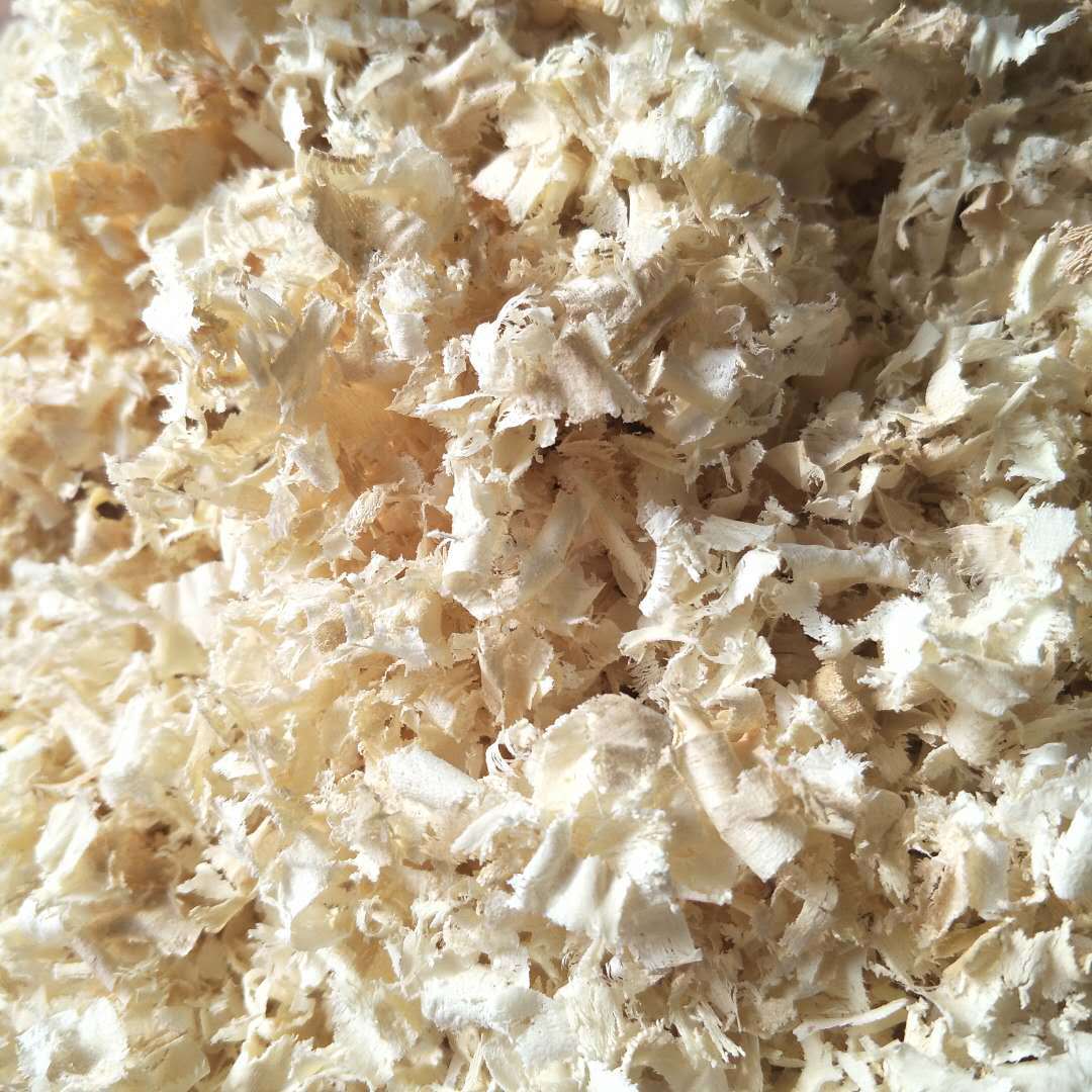 直销杨木刨花 宠物垫料除臭防潮无意味量大从优