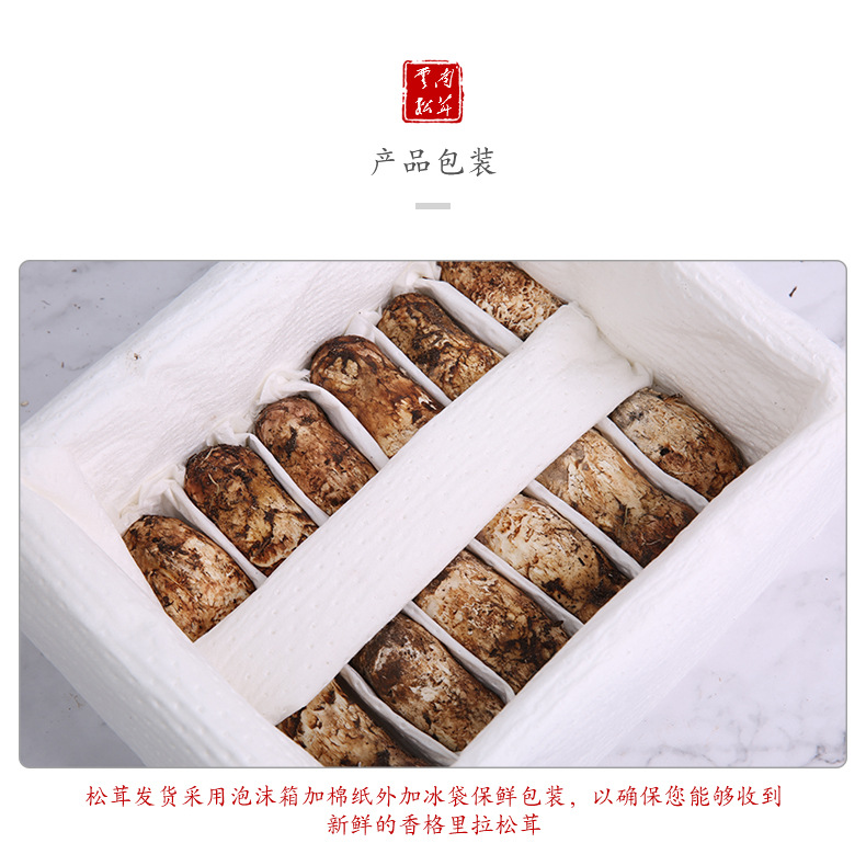 云南香格里拉新鲜松茸 5-7cm500g精装批发 产地直批鲜货一件代发