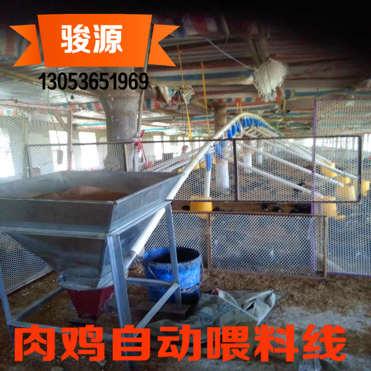供应长距离无轴绞龙用养鸡自动料线山东厂家定制加工生产南非进口