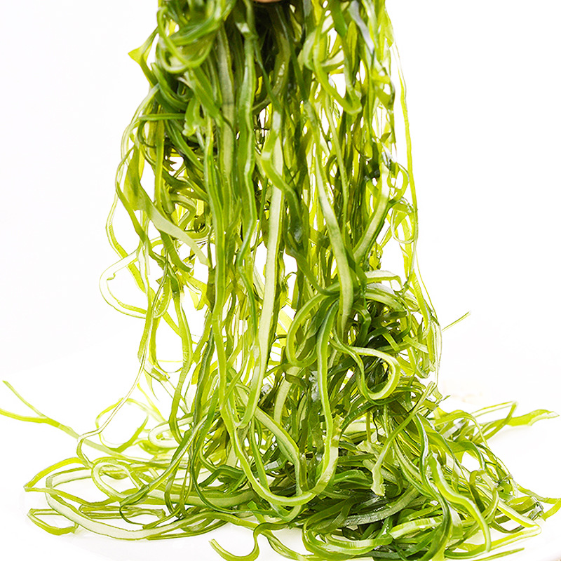 供应 大连特产海藻海带 盐渍海带 细丝海带制品