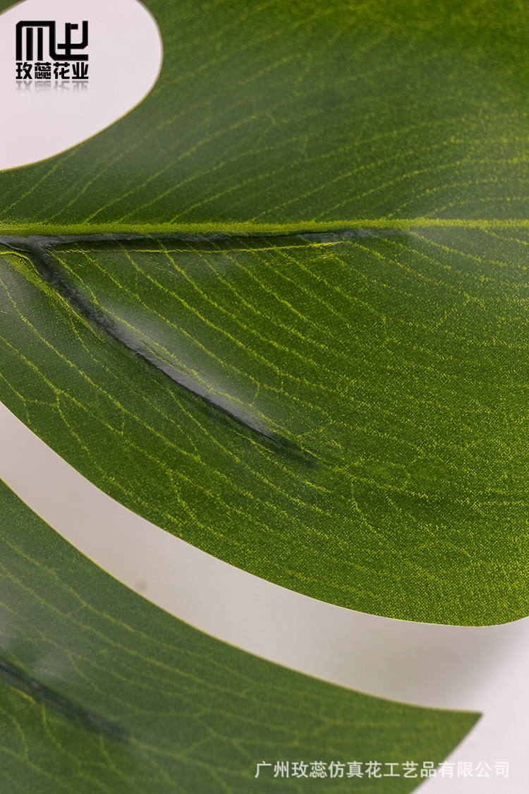 大手感龟背叶新款绿植插花配叶婚庆花篮道具ins网红叶子装饰批发