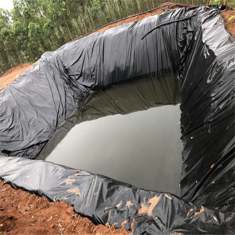 加厚hdpe养殖膜蓄水池藕池防渗膜地基防潮膜屋顶花园防渗膜现货