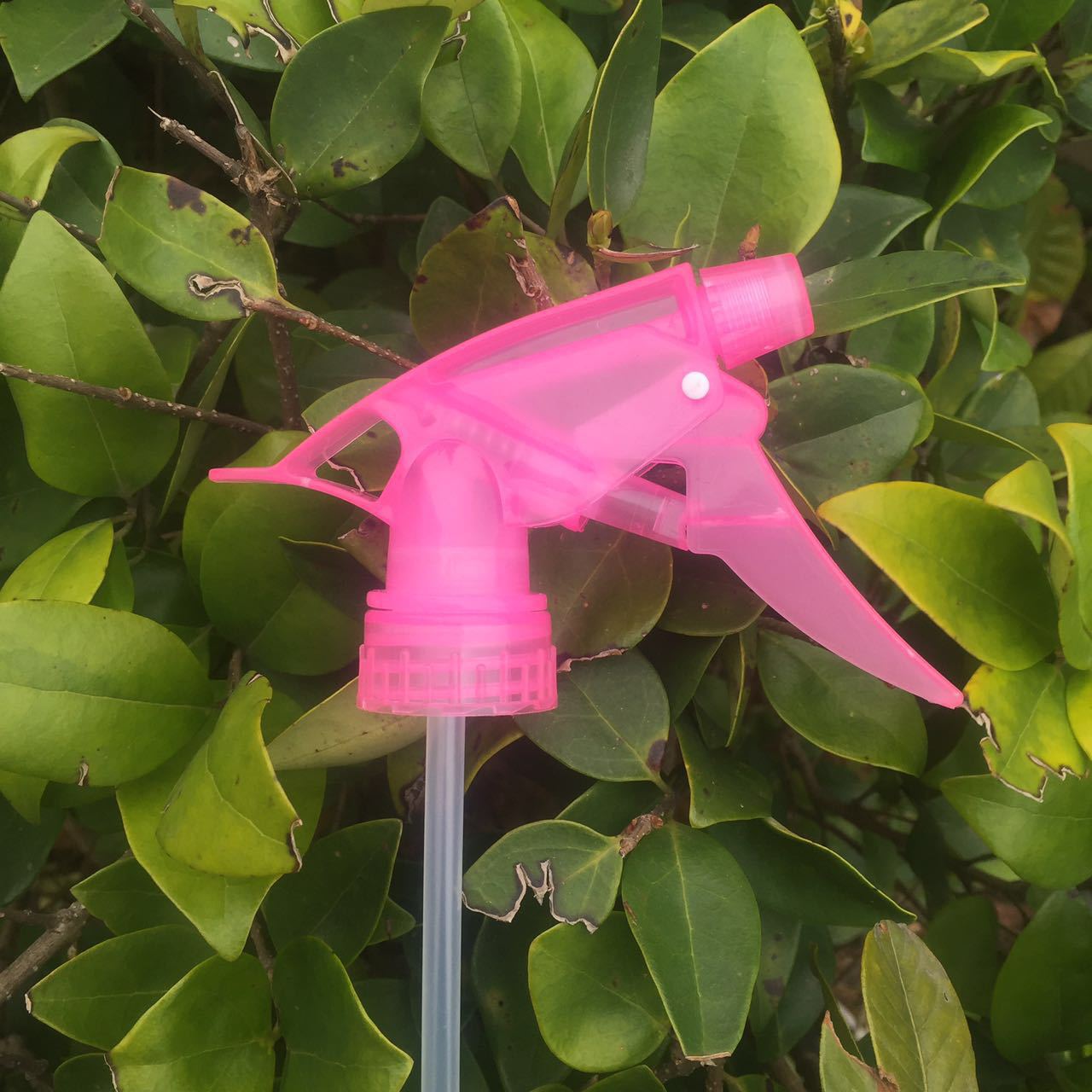 手扣消毒水喷雾器喷头浇花塑料喷水喷壶喷油喷雾壶雾化喷壶头