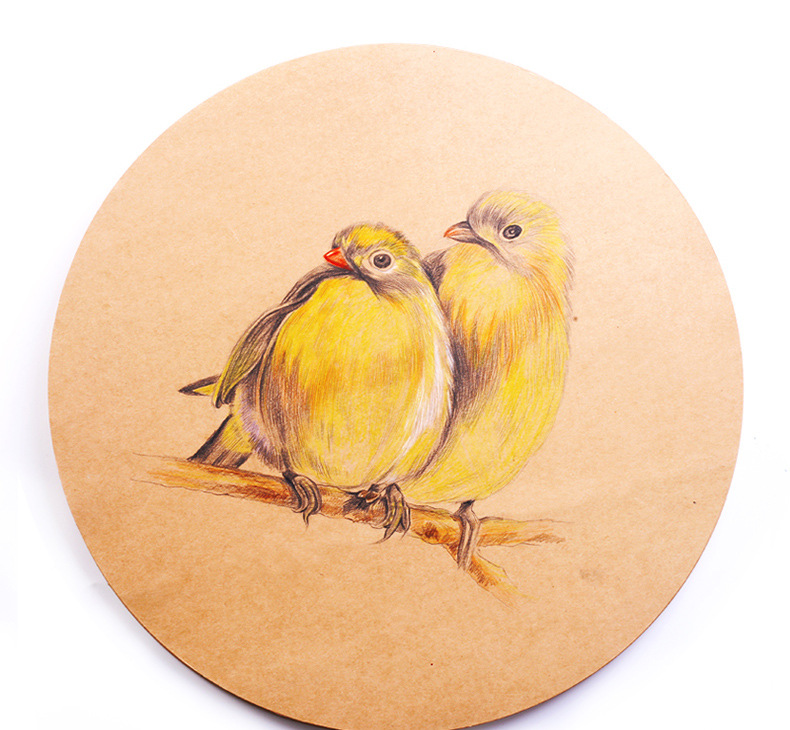 10圆形牛皮纸绘画卡纸20cm25cm33cm38cm素描彩铅手绘美术纸白卡纸