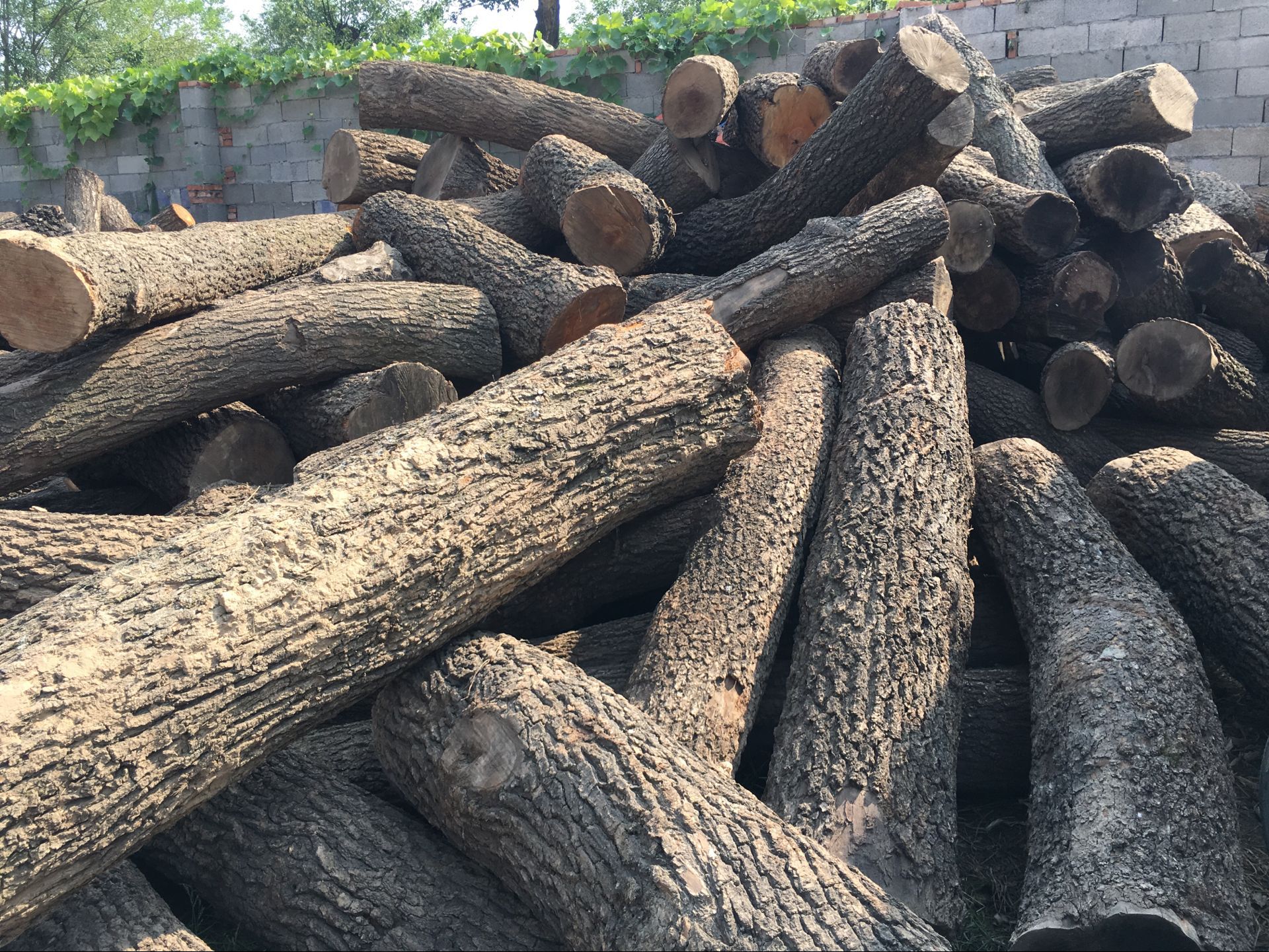 启林 长期大批量供应 杜梨木价格 杜梨木厂家 欢迎选购