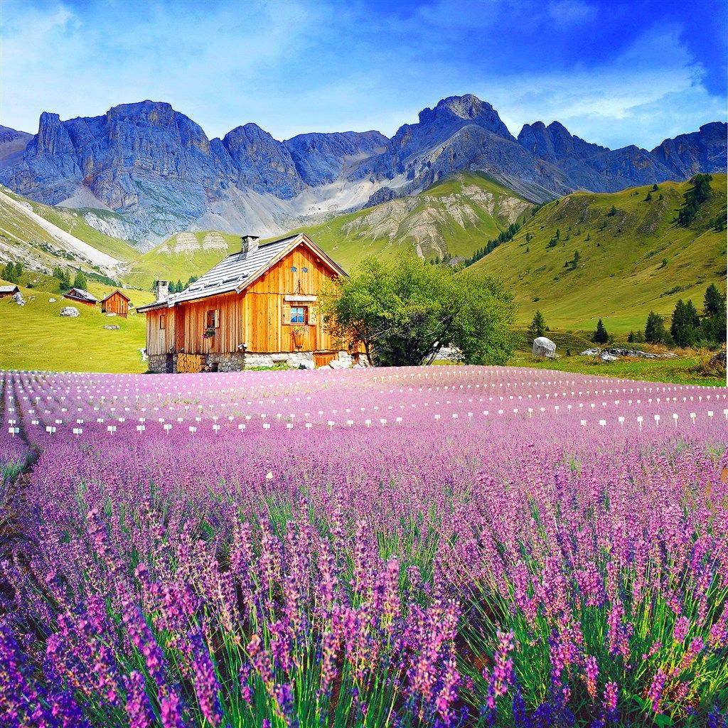 a0d00cdbbfd99c7679a4f28f7966ce