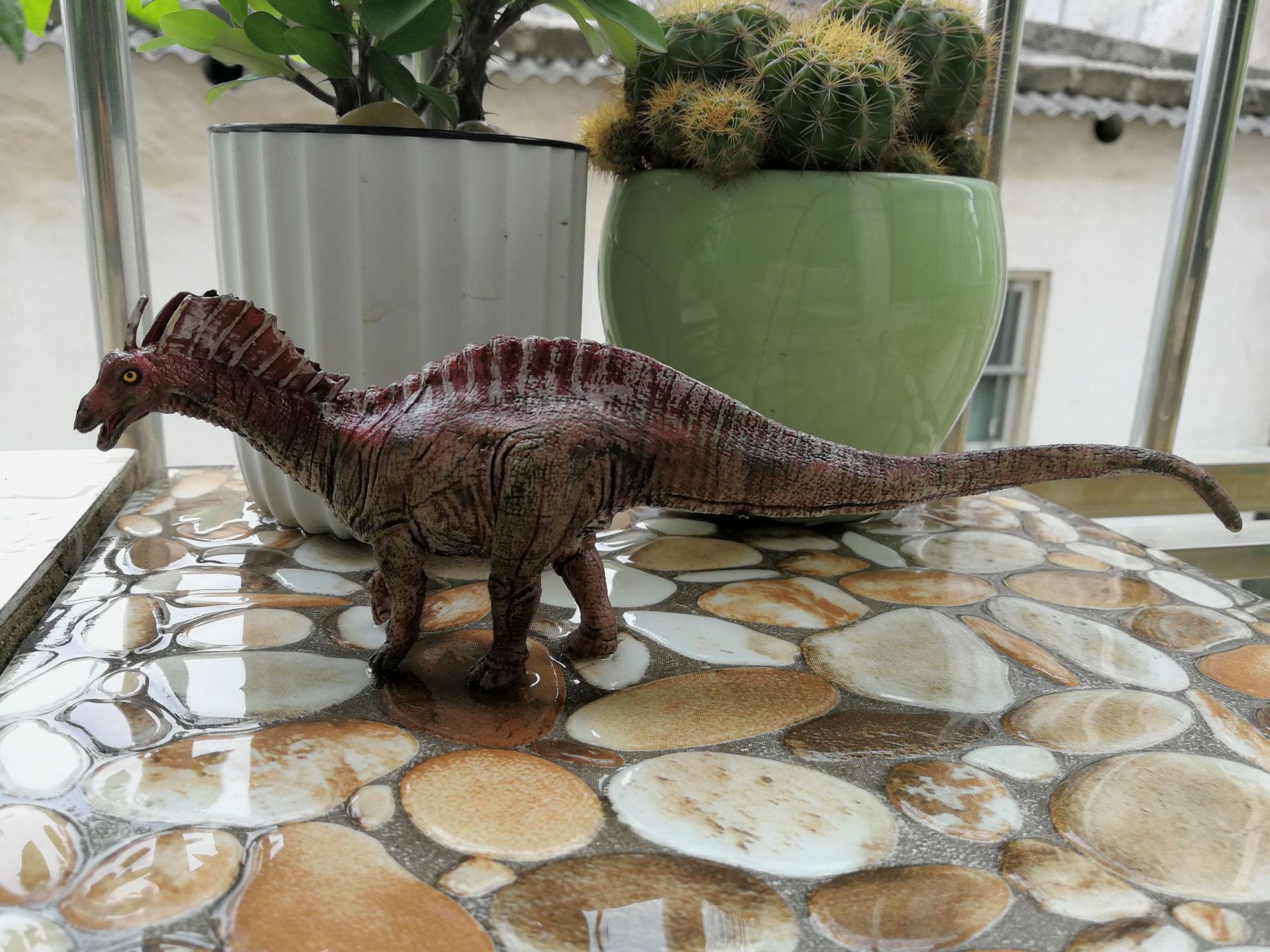 阿马加龙是一种很奇怪的蜥脚类恐龙,它背上有两