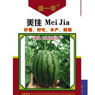 美佳耐裂果小西瓜种子 礼品小西瓜种子 四川西瓜种子公司批发