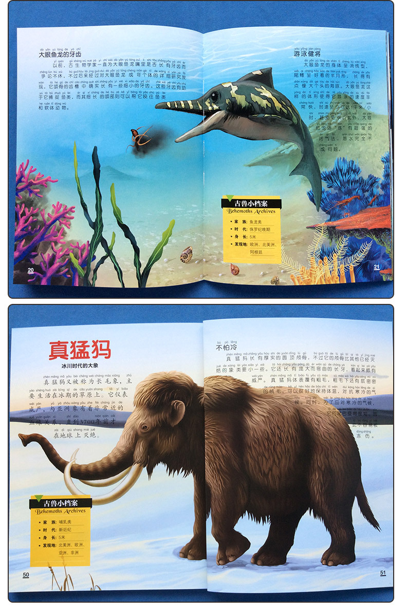 正版 恐龙星球大揭秘 全5册侏罗纪白垩纪恐龙故事科普书 批发
