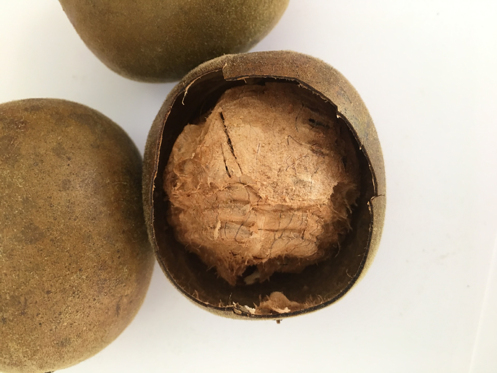 广西桂林特产永福 罗汉果 中药材 电烘特大中小果 花果茶产地批发