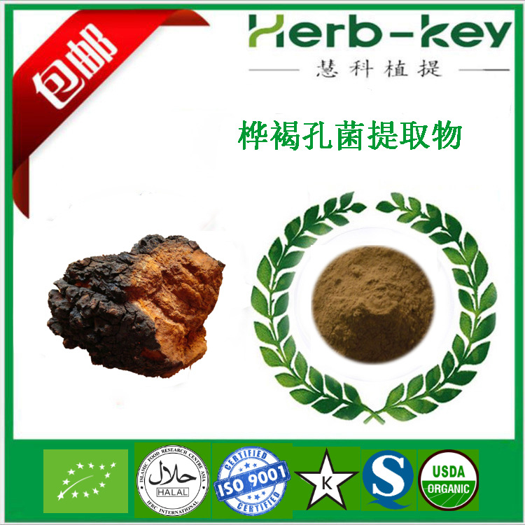 桦褐孔菌提取物 10:1 白桦茸提取物 慧科优质提取 实力卖家包邮