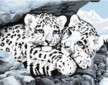 跨境一件代发新款无框diy数字油画 手绘动物油彩画雪豹外贸速卖通