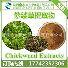 繁缕草 鹅肠草提取物 10:1 繁缕草粉 Chickweed Extract 现货供应