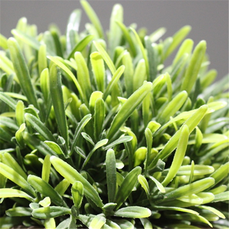 「罗汉草」仿真植物 盆栽 塑料花盆 树球 人造绿植 假花 厂家直销