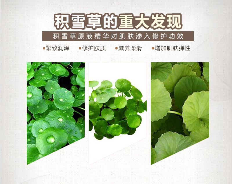 积雪草美容原液 面部补水修护淡化红血丝 厂家oem精华液组合套盒