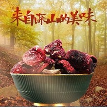 产地武夷山红菇 福建特产红菇红蘑菇月子菇干货 深山食用菌菇250g